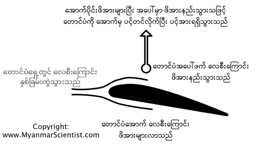 ပုံ (၃) လေယာဉ်တောင်ပံပေါ်မှာ ပင့်တင်အား ဖြစ်ပေါ်လာပုံ။ (Copyright: Myanmar Scientist)