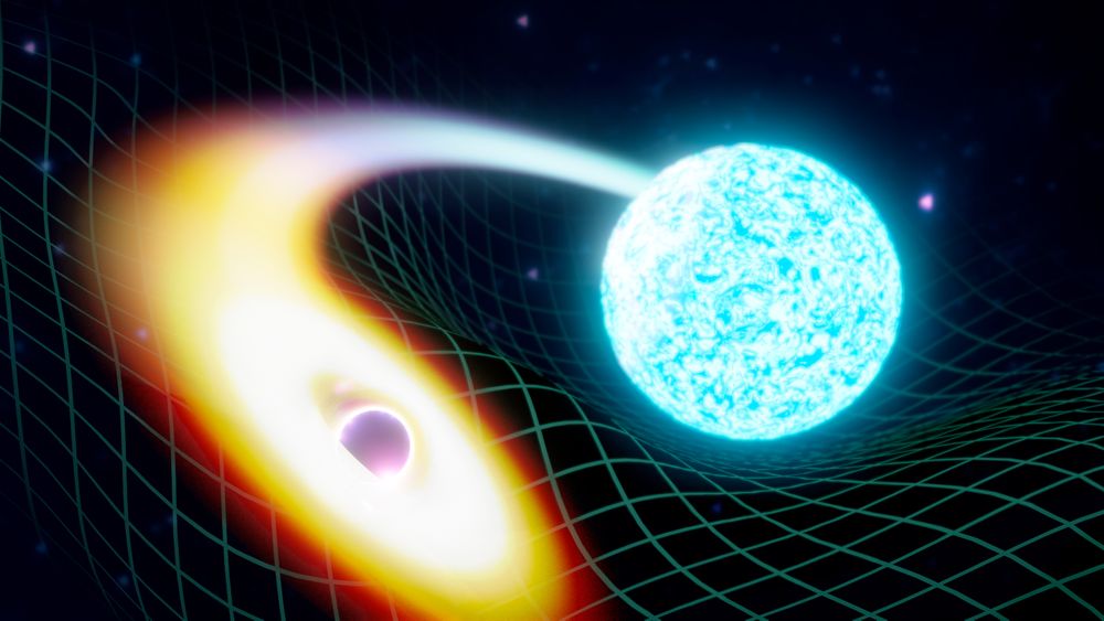 Black hole က နျူထရွန်ကြယ်ကို ဝါးမျိုနေပုံကို ပန်းချီဆရာက သရုပ်ဖော်ထားပုံ