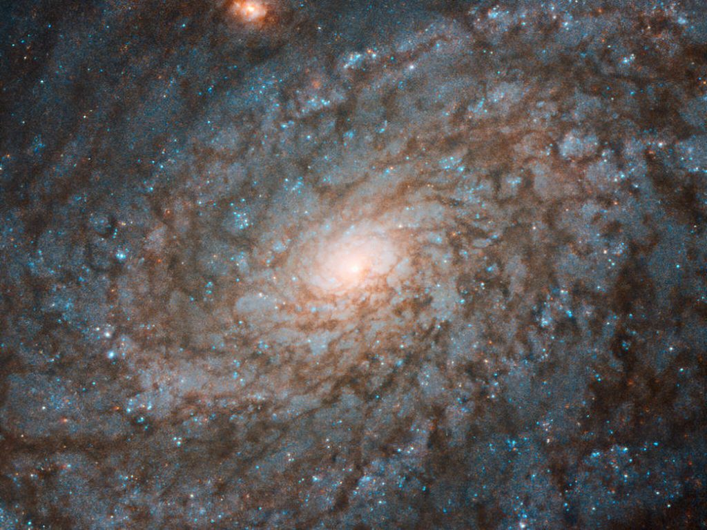 NGC 4237 ခရုပတ် ဂလက်ဆီဟာ အလင်းနှစ် သန်း ၆၀ အကွာမှာ ရှိပါတယ် (Image credit: ESA/Hubble & NASA, P. Erwin et al.)