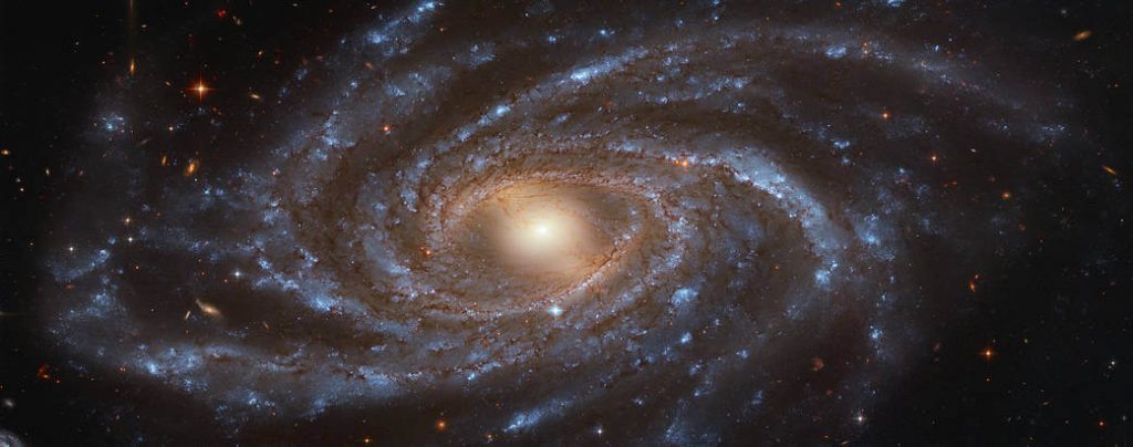 အလင်းနှစ် သန်း ၁၀၀ အကွာက NGC 2336 ဂလက်ဆီကြီးဟာ အလင်းနှစ် ၂၀၀,၀၀၀ ကျယ်ပါတယ် (Image credit: ESA/Hubble & NASA, V. Antoniou; Acknowledgment: Judy Schmidt)