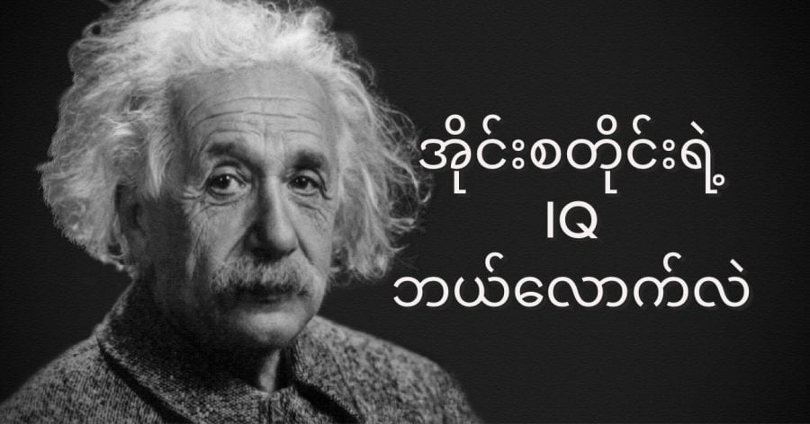 အိုင်းစတိုင်းရဲ့ IQ ဟာ အမြင့်ဆုံး ဖြစ်နိုင်တဲ့ IQ ဖြစ်တဲ့ အမှတ် ၁၆၀ ရှိမယ်လို့ ခန့်မှန်းကြပါတယ်