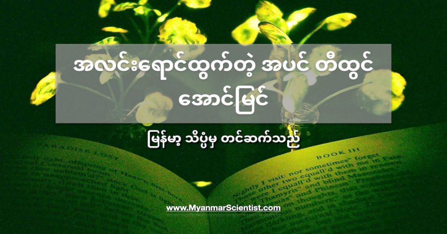 နောင်အနာဂါတ်မှာ လျှပ်စစ်မီးသီးတွေအစား အပင်တွေကို မီးအိမ်တွေ အဖြစ် အသုံးပြုကြလိမ့်မယ်