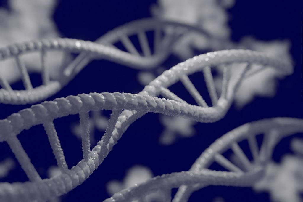 ကမ္ဘာ့ ပထမဆုံး DNA မော်လီကျူးတွေကို  RNA က ထုတ်ပေးတယ်လို့ ဆိုပါတယ်