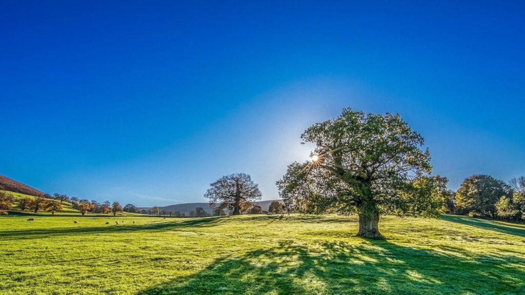 blue sky