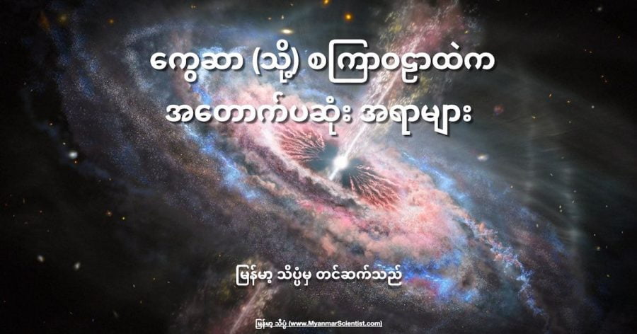 ကွေဆာ တစ်ခုရဲ့ပုံကို ပန်းချီဆရာက သရုပ်ဖော်ထားပုံ