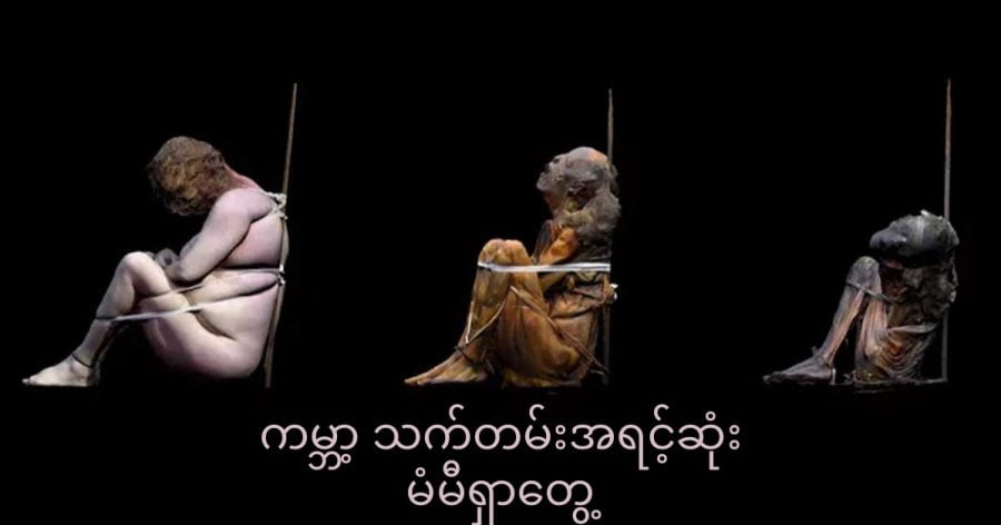 ဥရောပတိုက် တောင်ပိုင်း ပေါ်တူဂီ နိုင်ငံက သင်္ချိုင်း တစ်ခုမှာ ကမ္ဘာ့ သက်တမ်း အရင့်ဆုံး မံမီ ရုပ်ကြွင်း ရှာတွေ့ခဲ့ပါတယ်။ (Image credit: Peyroteo-Stjerna et al/European Journal of Archaeology)