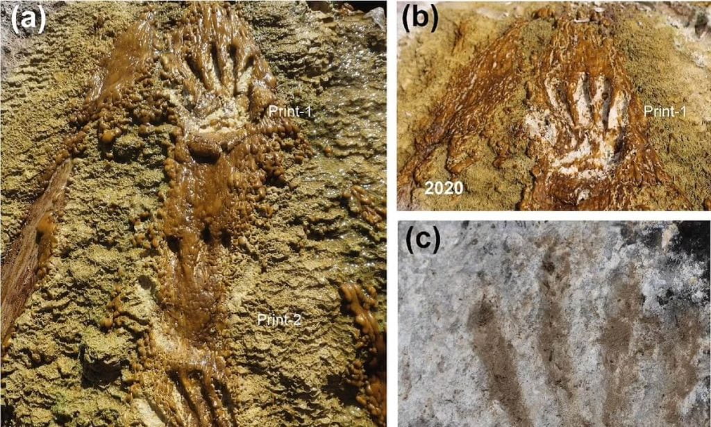 Quesang-Hand-Foot-Prints